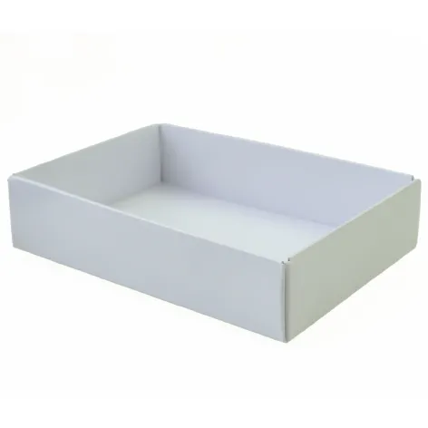 6 choc folding tray white.webp